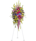 Bright and Beautiful Spray In Louisville, KY, In Kentucky, Schmitt's Florist